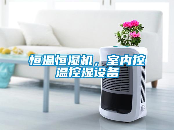 恒溫恒濕機(jī)，室內(nèi)控溫控濕設(shè)備