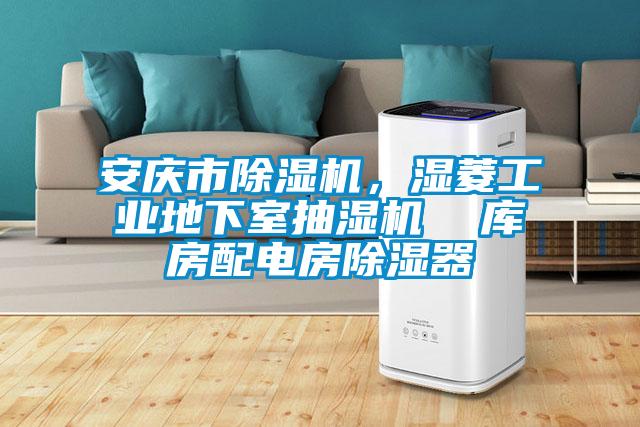 安慶市除濕機(jī)，濕菱工業(yè)地下室抽濕機(jī)  庫(kù)房配電房除濕器