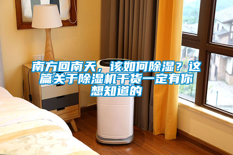 南方回南天，該如何除濕？這篇關(guān)于除濕機干貨一定有你想知道的