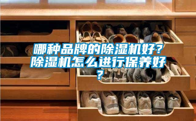 哪種品牌的除濕機(jī)好？除濕機(jī)怎么進(jìn)行保養(yǎng)好？