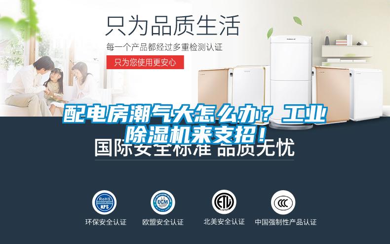 配電房潮氣大怎么辦？工業(yè)除濕機(jī)來支招！