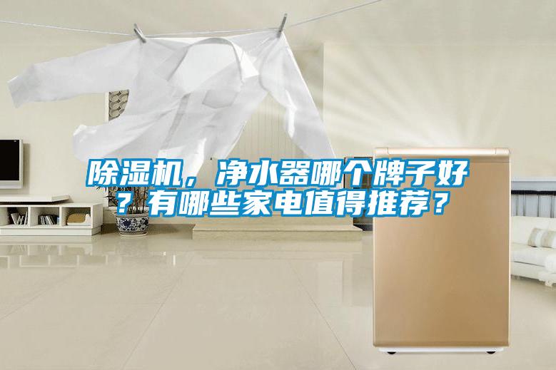 除濕機，凈水器哪個牌子好？有哪些家電值得推薦？