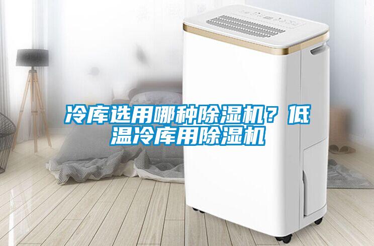 冷庫選用哪種除濕機(jī)？低溫冷庫用除濕機(jī)