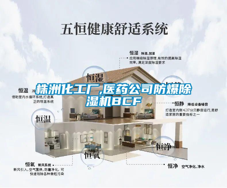 株洲化工廠(chǎng),醫(yī)藥公司防爆除濕機(jī)BCF