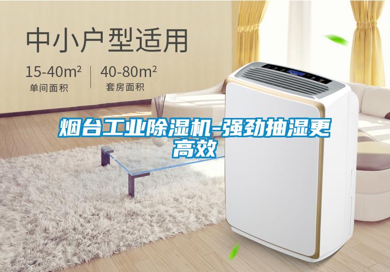 煙臺工業(yè)除濕機-強勁抽濕更高效