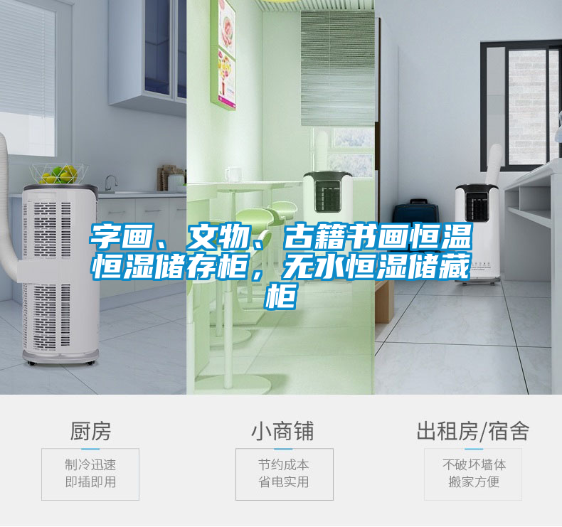 字畫(huà)、文物、古籍書(shū)畫(huà)恒溫恒濕儲(chǔ)存柜，無(wú)水恒濕儲(chǔ)藏柜