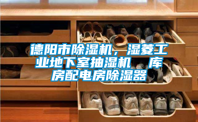 德陽(yáng)市除濕機(jī)，濕菱工業(yè)地下室抽濕機(jī)  庫(kù)房配電房除濕器