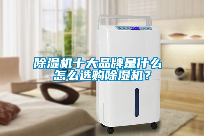 除濕機(jī)十大品牌是什么 怎么選購除濕機(jī)？