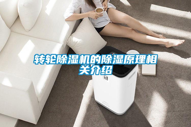 轉(zhuǎn)輪除濕機的除濕原理相關介紹