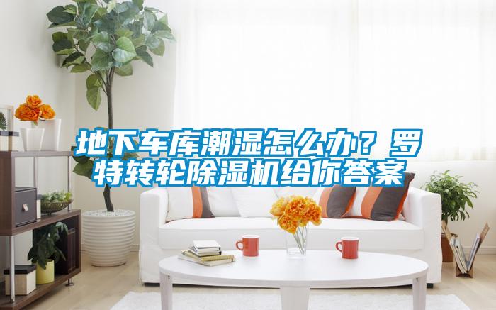 地下車(chē)庫(kù)潮濕怎么辦？羅特轉(zhuǎn)輪除濕機(jī)給你答案