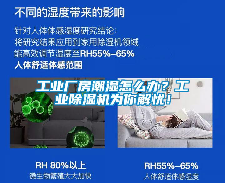 工業(yè)廠房潮濕怎么辦？工業(yè)除濕機為你解憂！