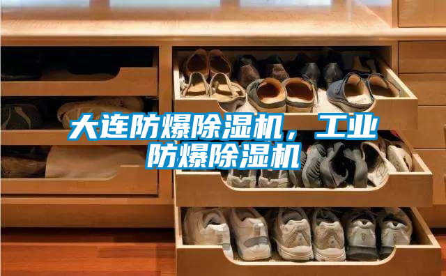 大連防爆除濕機(jī)，工業(yè)防爆除濕機(jī)