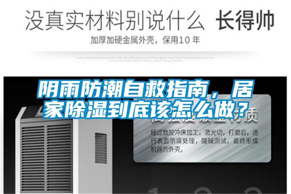 陰雨防潮自救指南，居家除濕到底該怎么做？