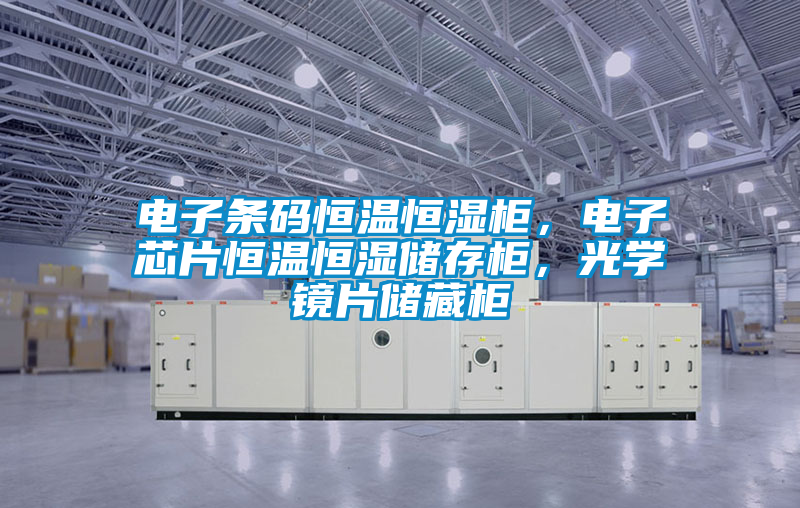 電子條碼恒溫恒濕柜，電子芯片恒溫恒濕儲(chǔ)存柜，光學(xué)鏡片儲(chǔ)藏柜