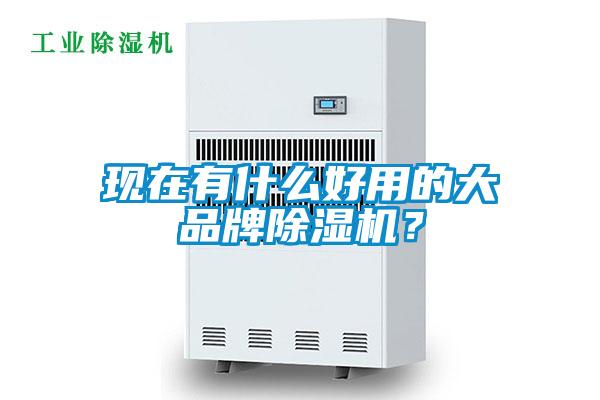 現(xiàn)在有什么好用的大品牌除濕機(jī)？