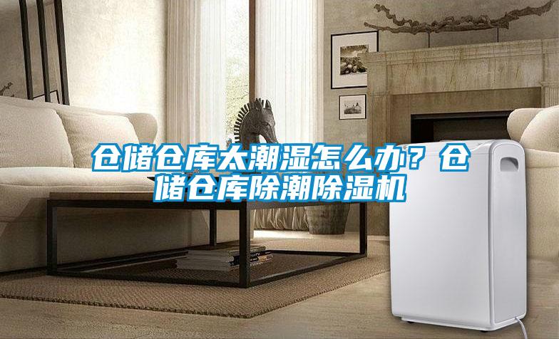 倉(cāng)儲(chǔ)倉(cāng)庫(kù)太潮濕怎么辦？倉(cāng)儲(chǔ)倉(cāng)庫(kù)除潮除濕機(jī)