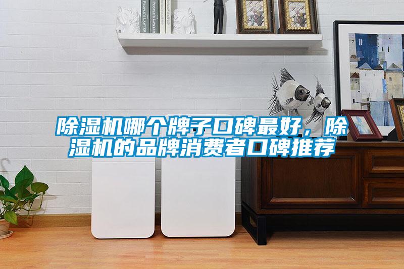 除濕機(jī)哪個(gè)牌子口碑最好，除濕機(jī)的品牌消費(fèi)者口碑推薦