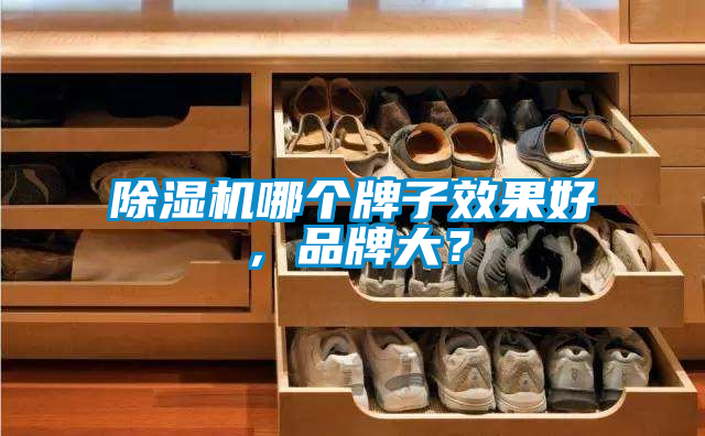 除濕機(jī)哪個牌子效果好，品牌大？