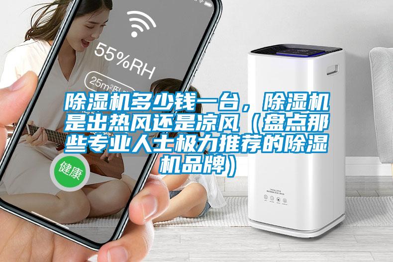 除濕機(jī)多少錢一臺(tái)，除濕機(jī)是出熱風(fēng)還是涼風(fēng)（盤點(diǎn)那些專業(yè)人士極力推薦的除濕機(jī)品牌）