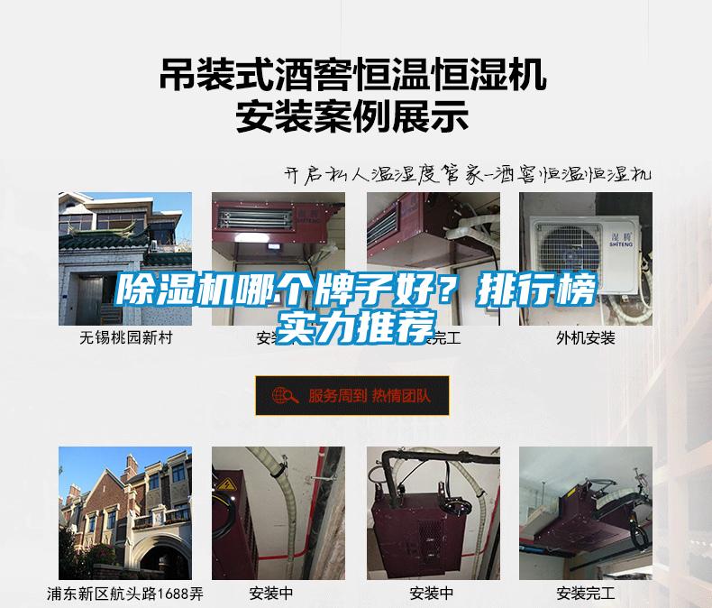 除濕機哪個牌子好？排行榜實力推薦