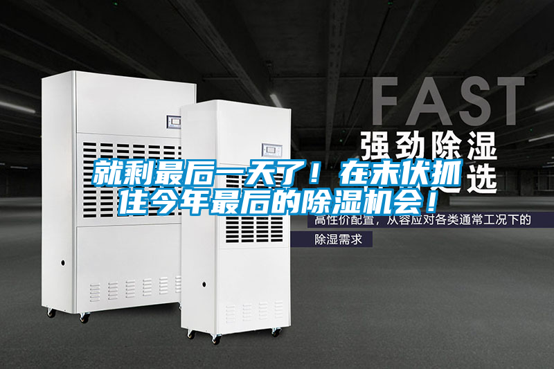 就剩最后一天了！在末伏抓住今年最后的除濕機(jī)會(huì)！