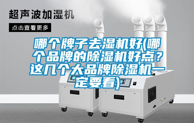 哪個牌子去濕機好(哪個品牌的除濕機好點？這幾個大品牌除濕機一定要看)