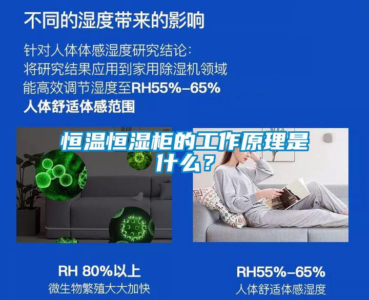 恒溫恒濕柜的工作原理是什么？
