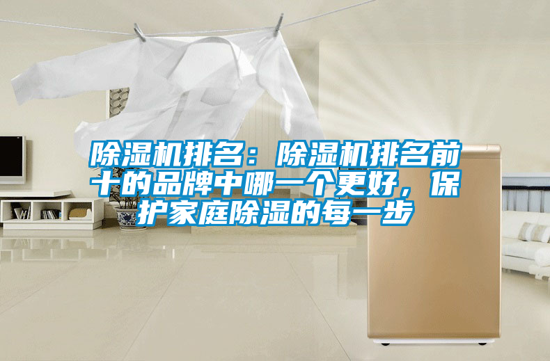 除濕機排名：除濕機排名前十的品牌中哪一個更好，保護家庭除濕的每一步