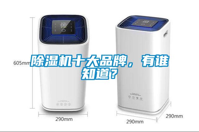 除濕機十大品牌，有誰知道？