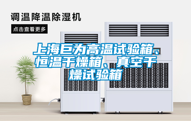 上海巨為高溫試驗(yàn)箱、恒溫干燥箱、真空干燥試驗(yàn)箱