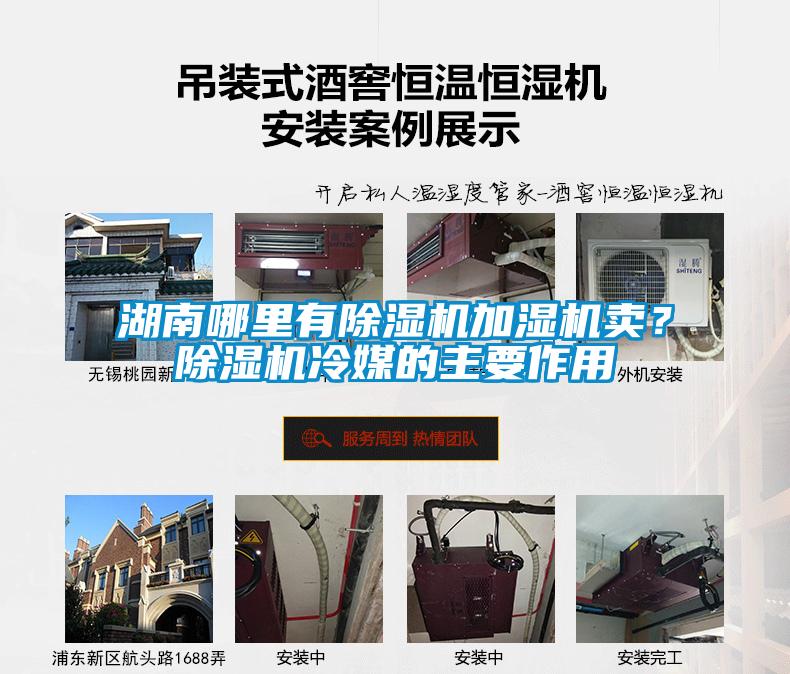 湖南哪里有除濕機(jī)加濕機(jī)賣？除濕機(jī)冷媒的主要作用