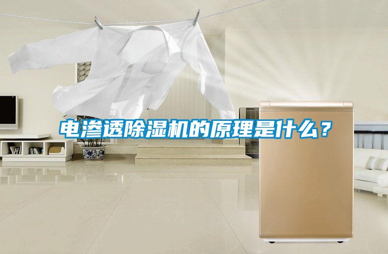 電滲透除濕機(jī)的原理是什么？