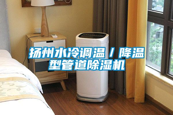 揚(yáng)州水冷調(diào)溫/降溫型管道除濕機(jī)
