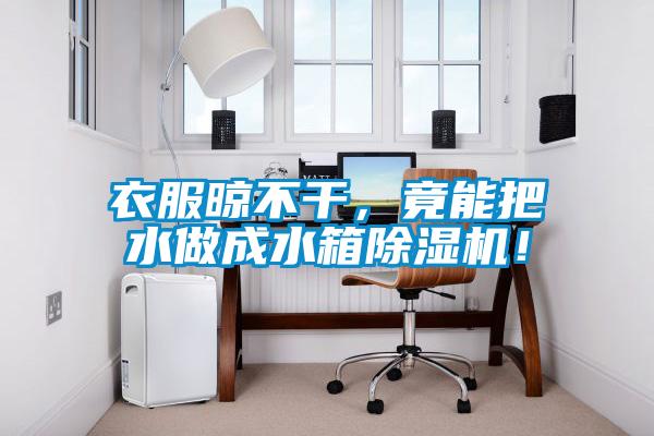 衣服晾不干，竟能把水做成水箱除濕機(jī)！