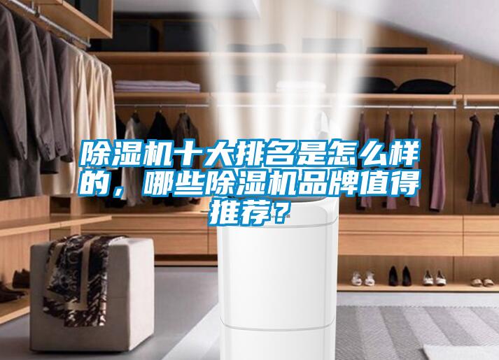 除濕機十大排名是怎么樣的，哪些除濕機品牌值得推薦？