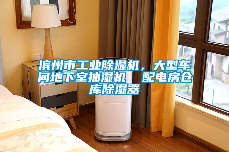 濱州市工業(yè)除濕機(jī)，大型車間地下室抽濕機(jī)  配電房倉庫除濕器