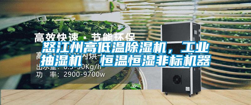 怒江州高低溫除濕機，工業(yè)抽濕機  恒溫恒濕非標機器