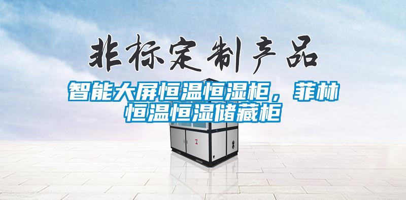 智能大屏恒溫恒濕柜，菲林恒溫恒濕儲(chǔ)藏柜