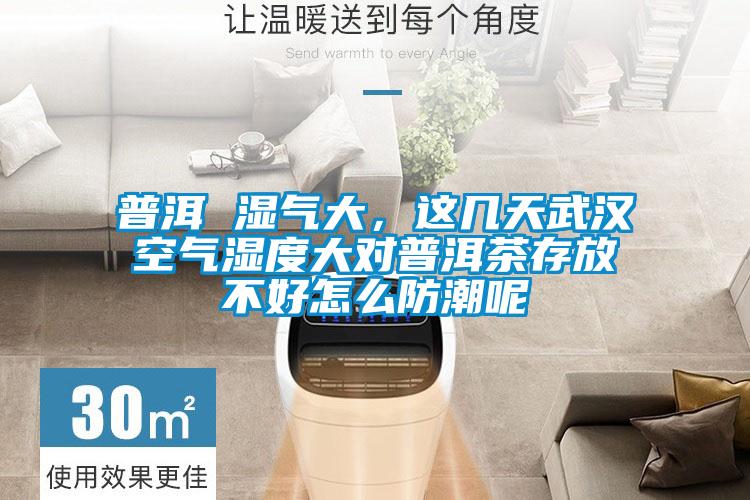 普洱 濕氣大，這幾天武漢空氣濕度大對普洱茶存放不好怎么防潮呢