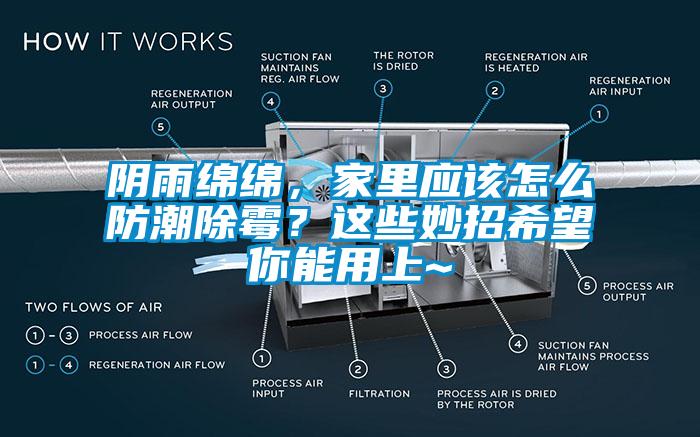 陰雨綿綿，家里應(yīng)該怎么防潮除霉？這些妙招希望你能用上~