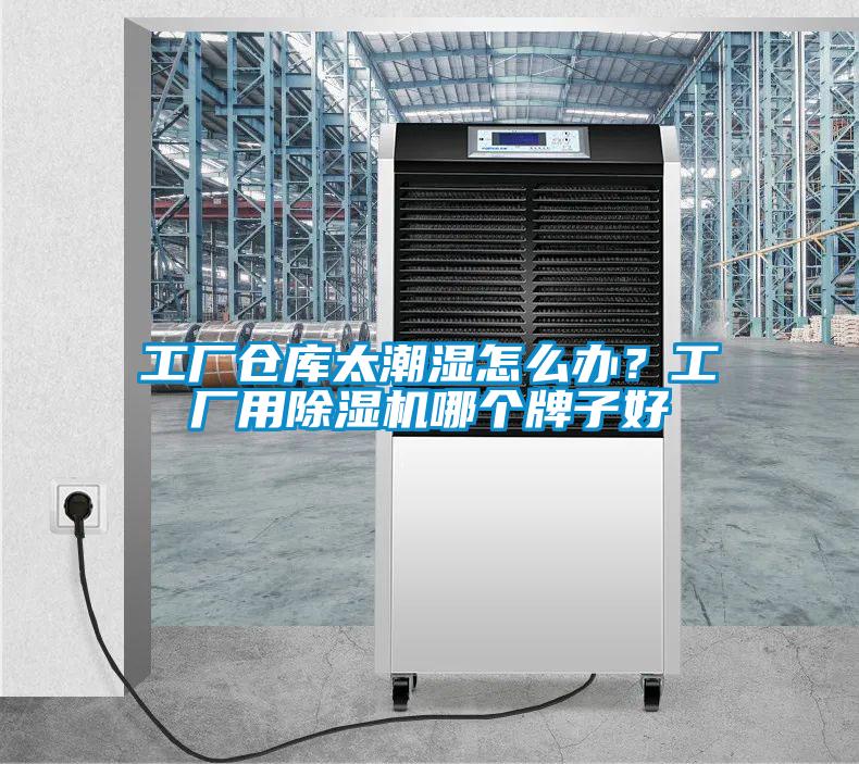 工廠倉庫太潮濕怎么辦？工廠用除濕機哪個牌子好