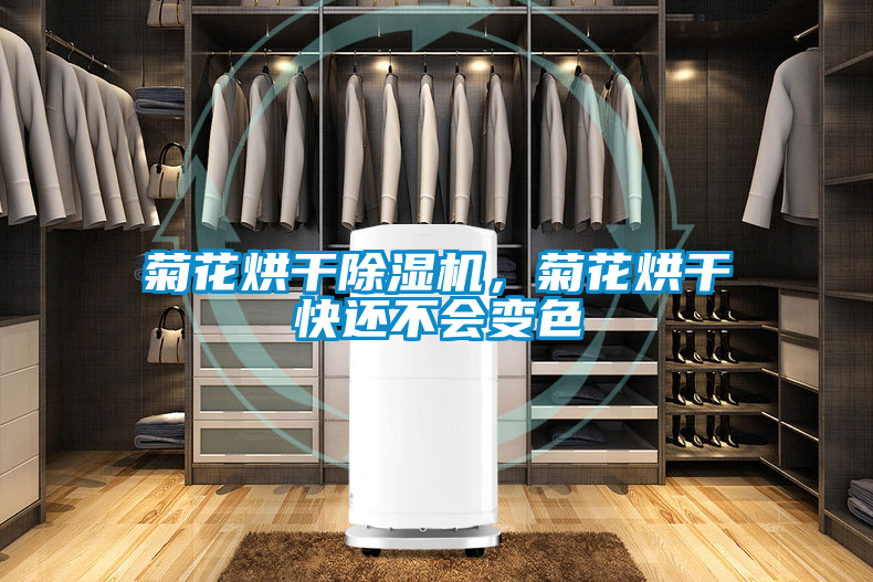 菊花烘干除濕機，菊花烘干快還不會變色
