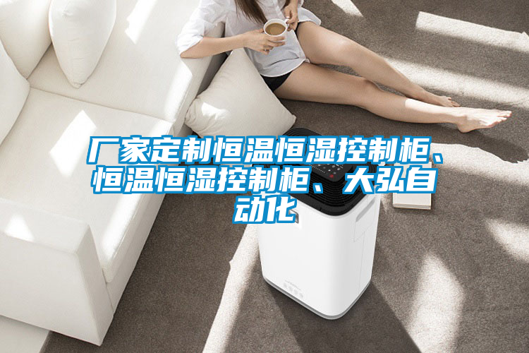 廠家定制恒溫恒濕控制柜、恒溫恒濕控制柜、大弘自動(dòng)化