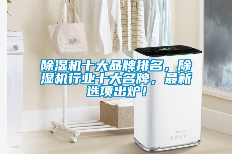 除濕機十大品牌排名，除濕機行業(yè)十大名牌，最新選項出爐！