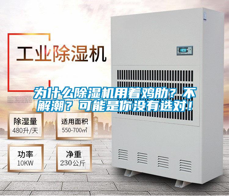 為什么除濕機(jī)用著雞肋？不解潮？可能是你沒有選對(duì)！