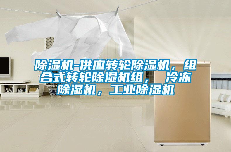 除濕機(jī)-供應(yīng)轉(zhuǎn)輪除濕機(jī)，組合式轉(zhuǎn)輪除濕機(jī)組， 冷凍除濕機(jī)，工業(yè)除濕機(jī)