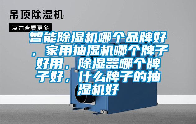 智能除濕機哪個品牌好，家用抽濕機哪個牌子好用，除濕器哪個牌子好，什么牌子的抽濕機好