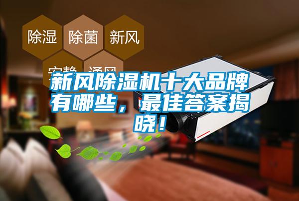 新風(fēng)除濕機(jī)十大品牌有哪些，最佳答案揭曉！