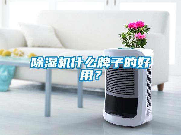 除濕機(jī)什么牌子的好用？