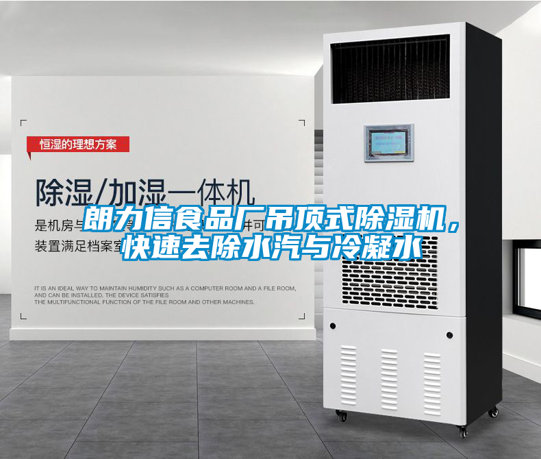 朗力信食品廠吊頂式除濕機，快速去除水汽與冷凝水